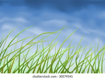 Grass close-up (other landscapes are in my gallery)