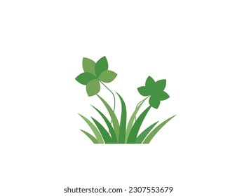 Grass, clover. Park. Vector icon.