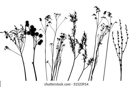 grass, collection for designers - vector
