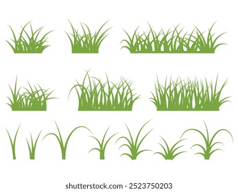 Grass collection, green leaf, nature land ecosystem