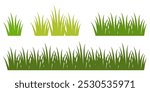 Grass. Collection of grass vector illustrations in flat style. green leaf. Grass illustration isolated on white background