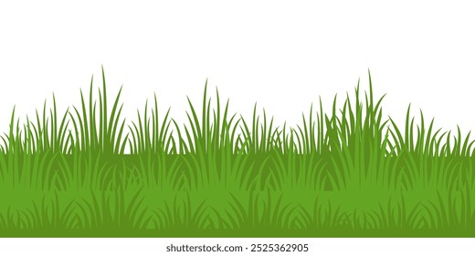 Grass. Collection of grass vector illustrations in flat style. green leaf. Grass illustration isolated on white background