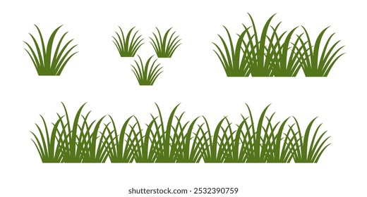 Grass. Collection of grass vector illustrations in flat style. green leaf. Grass illustration isolated on white background