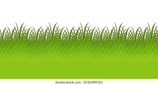 Grass. Collection of grass vector illustrations in flat style. green leaf. Grass illustration isolated on white background