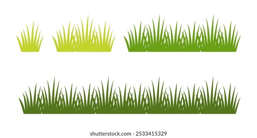 Grass. Collection of grass vector illustrations in flat style. green leaf. Grass illustration isolated on white background