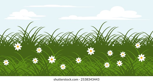 Grass. Collection of grass vector illustrations in flat style. green leaf. Illustration of grass, flowers and bright cloud sky. summer