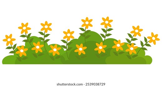 Grass. Collection of grass vector illustrations in flat style. green leaf. Grass illustration isolated on white background