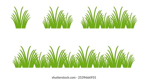 Grass. Collection of grass vector illustrations in flat style. green leaf. Grass illustration isolated on white background