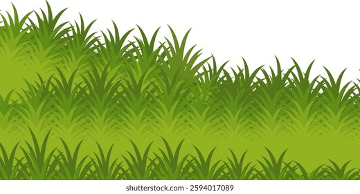 Grass. Collection of grass vector illustrations in flat style. green leaf. Grass illustration isolated on white background