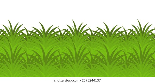 Grass. Collection of grass vector illustrations in flat style. green leaf. Grass illustration isolated on white background