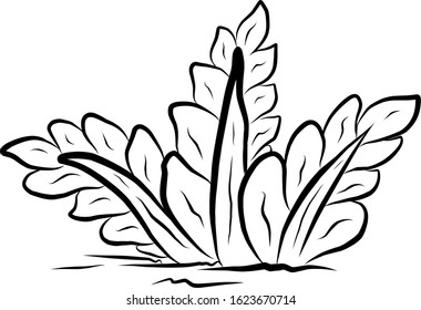 Grass Coloring page for children