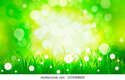 Grass with daisies on green bokeh background