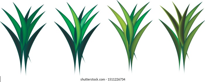 
grass of dark green color, vector icon
