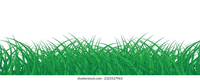 Grass decoration element isolated on White Background