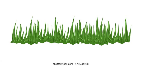 grass design element, green and fresh plant.