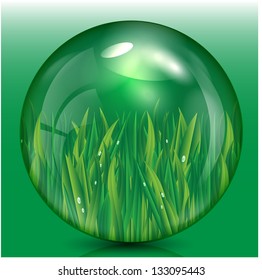 grass with dew drops in a bowl of green