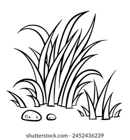 grass drawing On a white background it is a line drawing. Vector illustration