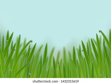 Grass in droplets of water seamless border