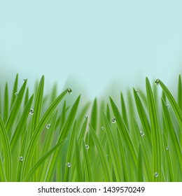 Grass in droplets of water seamless border