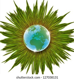 Grass and Earth vector illustration