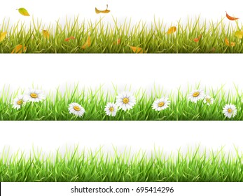 Grass with fallen leaves, with daisies, in different seasons of the year, spring, summer and autumn. Set of realistic vector elements of nature for design illustrations.