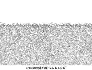 Grass fence rectangular boxwood shrubs. Ornamental plant for decorate of a park, a garden or a green fence. Foliage for spring and summer card design. Grass fence contour..