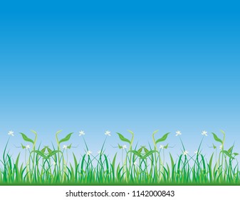 Grass field background with daisies and blue sky