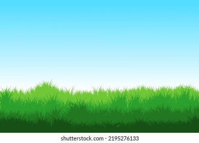 grass field. grass with blue sky background