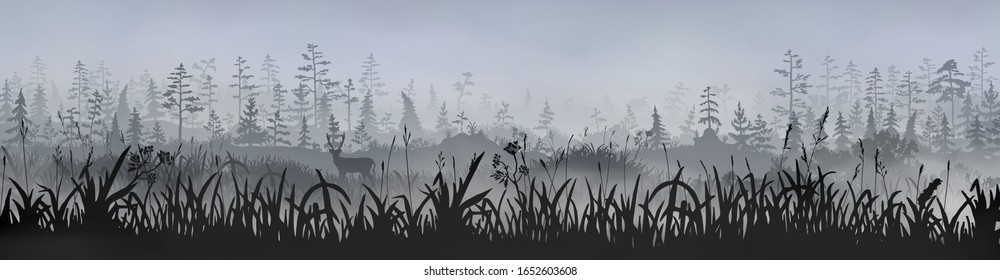 Grass field with a deer in front of the foggy grey morning forest. Vector long side image for banner, sticker, label, tag. 
Wildlife and eco nature forest background template.
