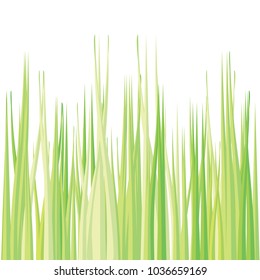 grass field flat.vector illustration