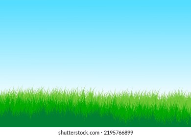 grass field. grassland background with blue sky