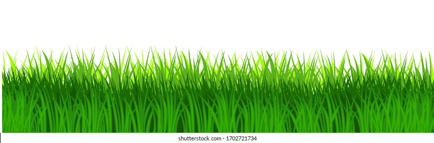 Grass Field Isolated Vector Green Dense Stock Vector (Royalty Free ...