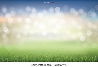 Grass field with light blurred bokeh background. Vector illustration.