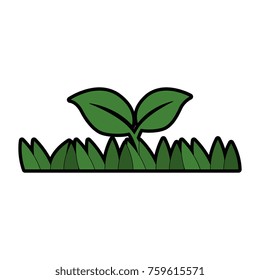 grass field with plant