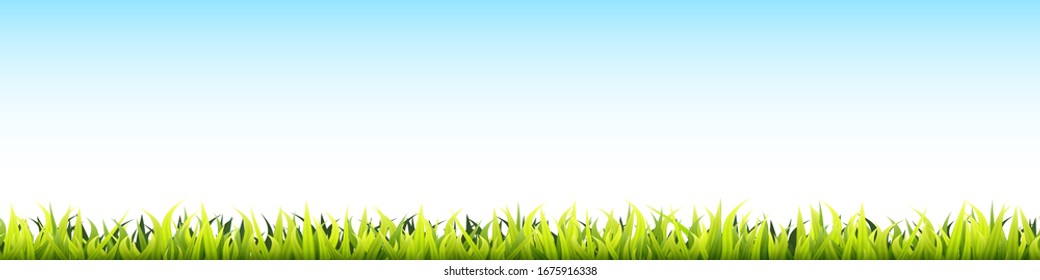 Grass field seamless footer. Microgreen wheat sprouts.