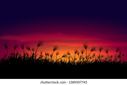 Grass field silhouette with cloudy sunset