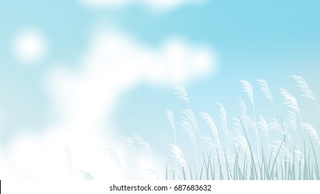 Grass field with white flower and bright blue sky landscape