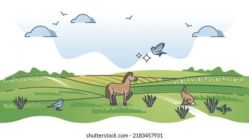 Grass fields landscape with green field biomes landform outline concept. Temperate climate type with savanna, steppe, prairie and pampas habitat for animals and plants foliage vector illustration.