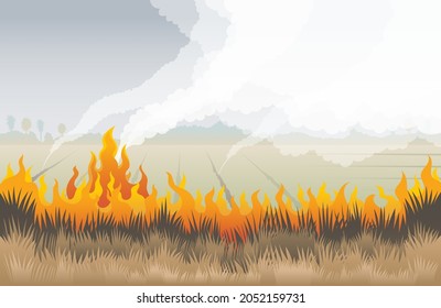 Grass Fire, Field with Burning Dry Grass Background, Pollution, Pm2.5 Airborne Dust 