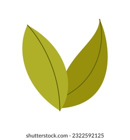 Grass flat design isolate white background. Floral element, plant element illustration template collection set for forest or park illustration element template