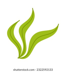 Grass flat design isolate white background. Floral element, plant element illustration template collection set for forest or park illustration element template