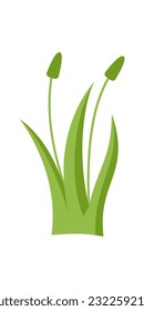 Grass flat design isolate white background. Floral element, plant element illustration template collection set for forest or park illustration element template