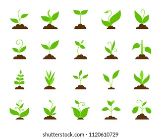 Grass flat icons set. Web sign kit of plant. Organic sprout of plant pictogram collection includes sapling, grow, bush. Simple grass cartoon colorful icon symbol isolated on white. Vector Illustration