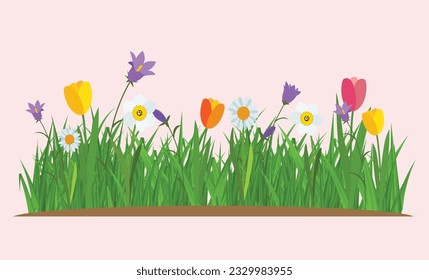 Elementos decorativos de tarjetas de felicitación de borde de hierba y flor, flores, belleza natural, hermosa flor de la naturaleza 
