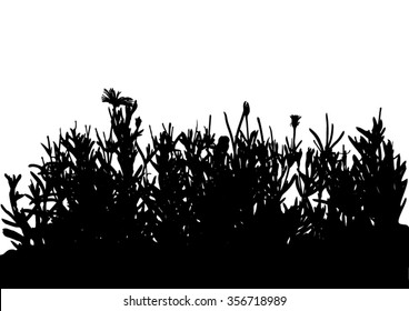 Grass - flower - bush - black silhouette - vector