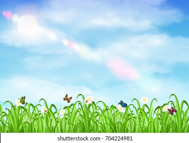 grass with flower and butterfly ladybug with sky