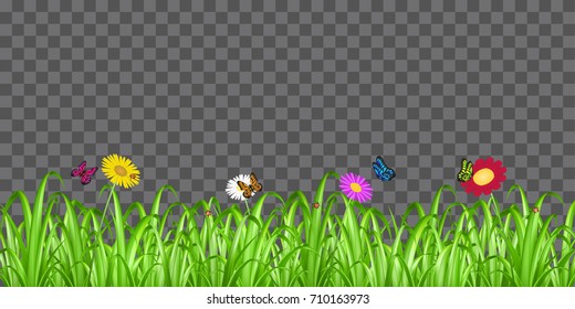 grass flower butterfly on transparent background
