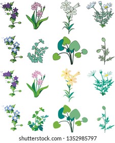 Grass and flower cut collection
