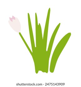 grass with flower in doodle style isolated on white background. Vector illustration.