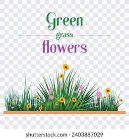 Grass and Flower Green Background